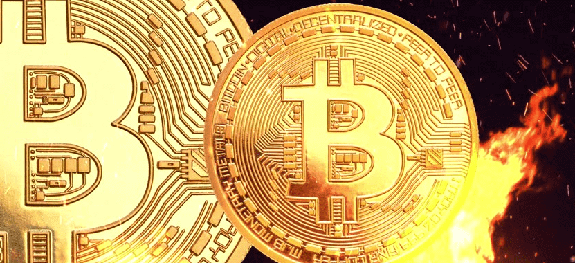 Bitcoin crash earn money