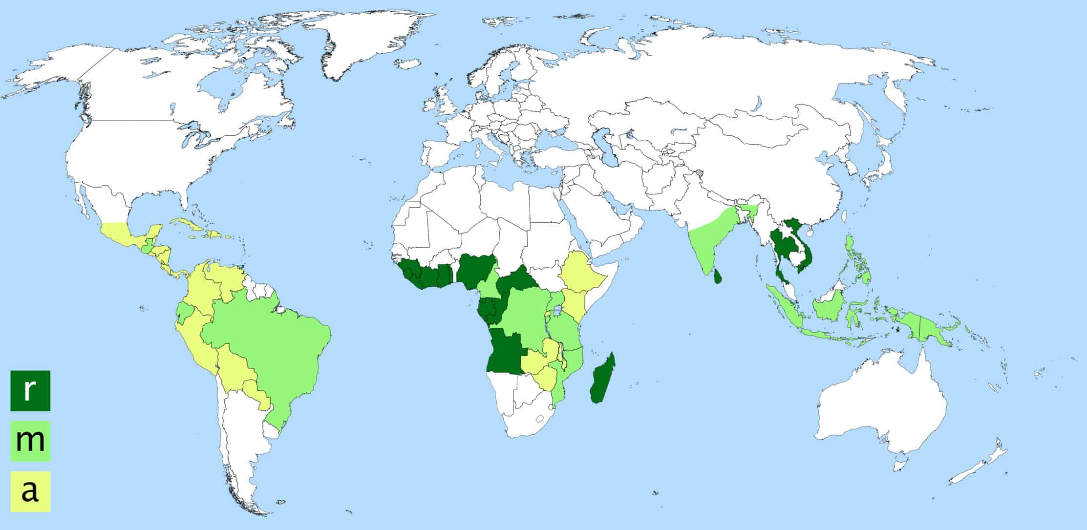 Global coffee production