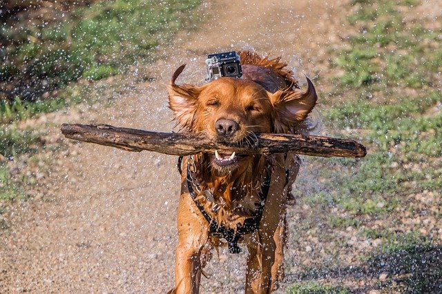 Buying GoPro stocks