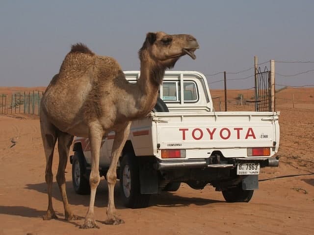 Buying Toyota shares